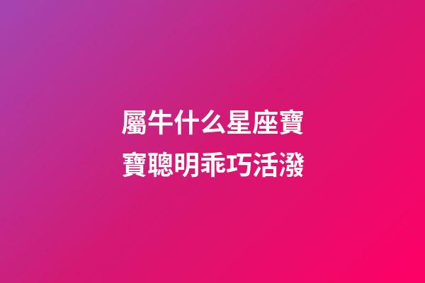 屬牛什么星座寶寶聰明乖巧活潑
