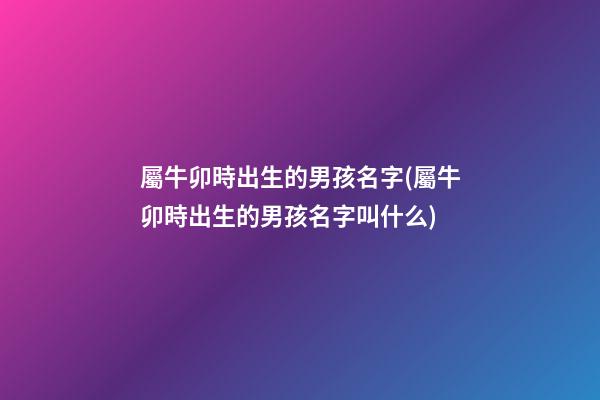 屬牛卯時出生的男孩名字(屬牛卯時出生的男孩名字叫什么)