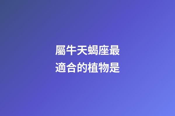 屬牛天蝎座最適合的植物是-第1張-星座運勢-玄機派