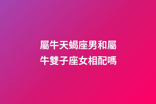 屬牛天蝎座男和屬牛雙子座女相配嗎-第1張-星座運勢-玄機派