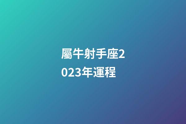 屬牛射手座2023年運程-第1張-星座運勢-玄機派