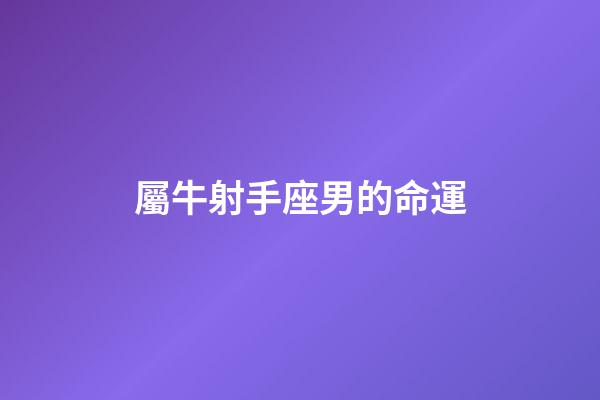 屬牛射手座男的命運-第1張-星座運勢-玄機派