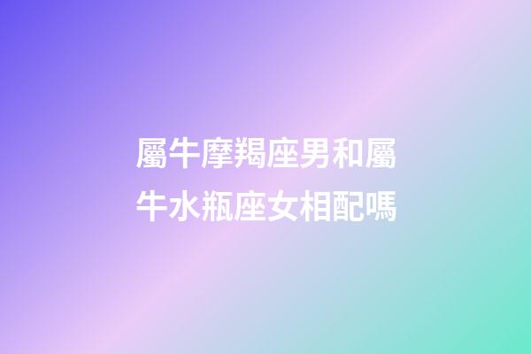 屬牛摩羯座男和屬牛水瓶座女相配嗎-第1張-星座運勢-玄機派