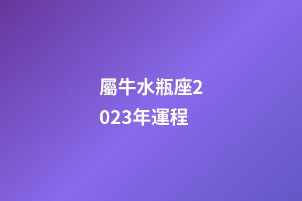 屬牛水瓶座2023年運程-第1張-星座運勢-玄機派