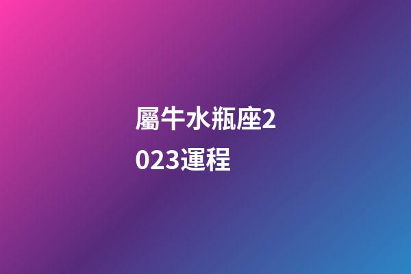 屬牛水瓶座2023運程-第1張-星座運勢-玄機派