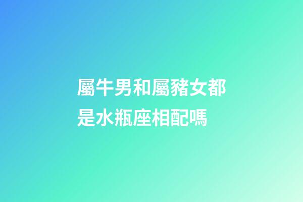 屬牛男和屬豬女都是水瓶座相配嗎-第1張-星座運勢-玄機派