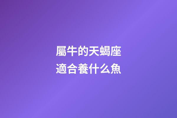 屬牛的天蝎座適合養什么魚-第1張-星座運勢-玄機派