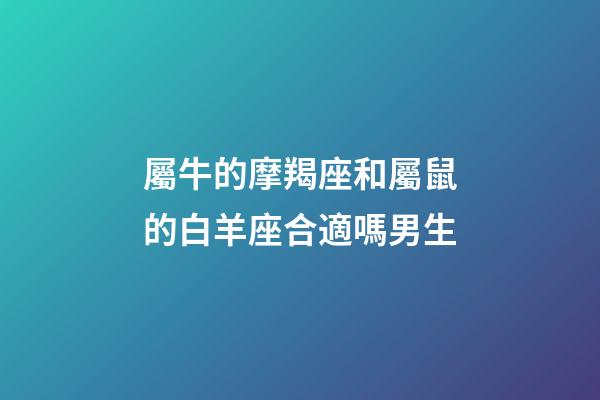 屬牛的摩羯座和屬鼠的白羊座合適嗎男生-第1張-星座運(yùn)勢(shì)-玄機(jī)派