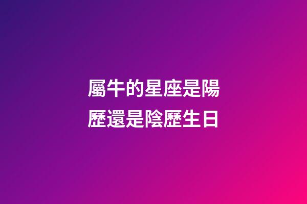 屬牛的星座是陽歷還是陰歷生日