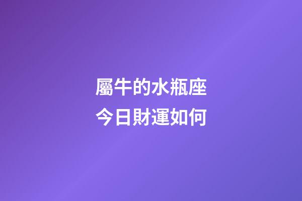 屬牛的水瓶座今日財運如何-第1張-星座運勢-玄機派
