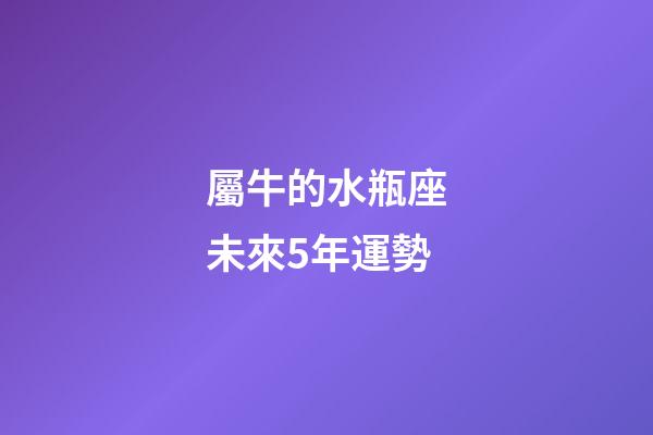 屬牛的水瓶座未來5年運勢