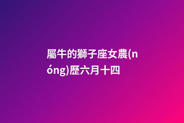 屬牛的獅子座女農(nóng)歷六月十四-第1張-星座運勢-玄機派