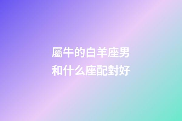 屬牛的白羊座男和什么座配對好-第1張-星座運勢-玄機派