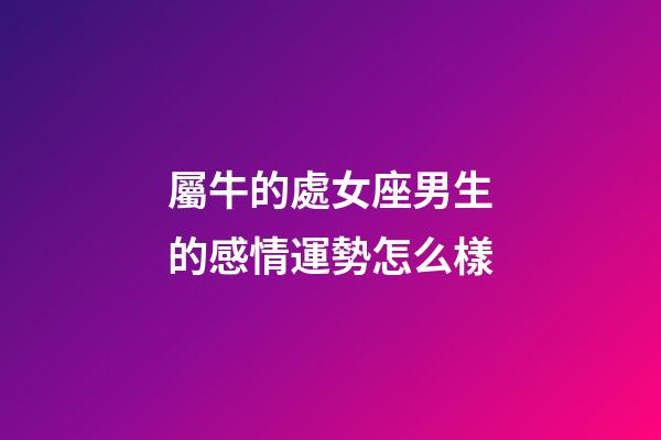 屬牛的處女座男生的感情運勢怎么樣-第1張-星座運勢-玄機派