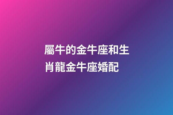 屬牛的金牛座和生肖龍金牛座婚配