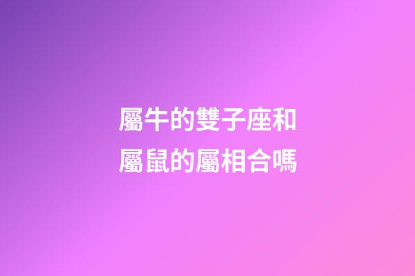 屬牛的雙子座和屬鼠的屬相合嗎-第1張-星座運勢-玄機派