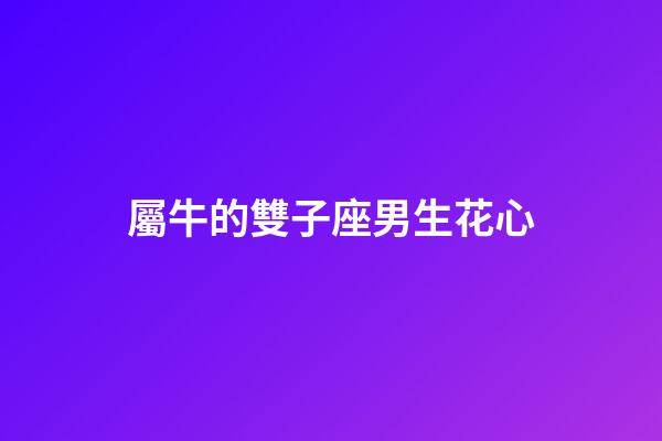 屬牛的雙子座男生花心-第1張-星座運勢-玄機派