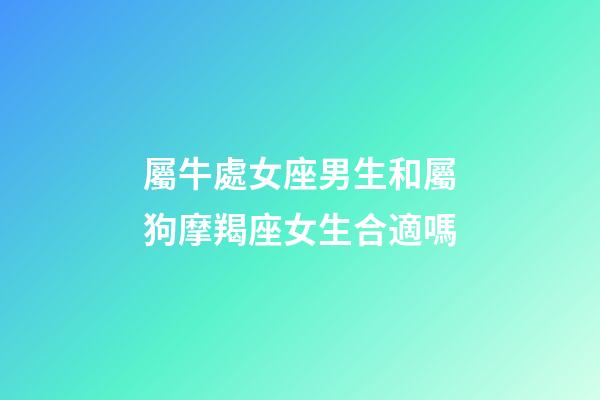 屬牛處女座男生和屬狗摩羯座女生合適嗎-第1張-星座運勢-玄機派
