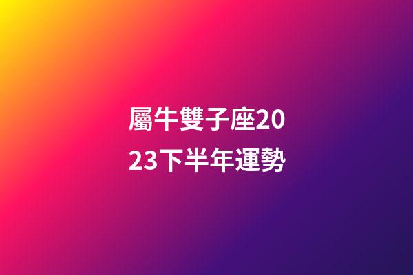 屬牛雙子座2023下半年運勢-第1張-星座運勢-玄機派