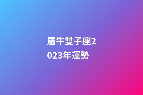 屬牛雙子座2023年運勢-第1張-星座運勢-玄機派
