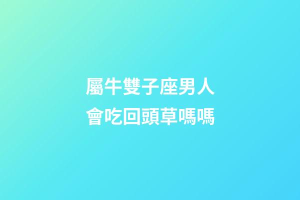 屬牛雙子座男人會吃回頭草嗎嗎-第1張-星座運勢-玄機派