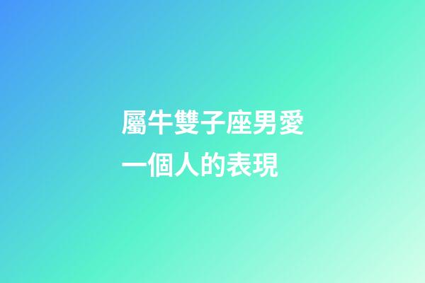 屬牛雙子座男愛一個人的表現-第1張-星座運勢-玄機派