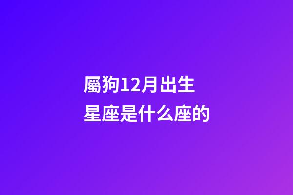 屬狗12月出生星座是什么座的
