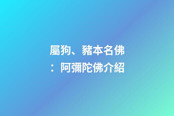 屬狗、豬本名佛：阿彌陀佛介紹
