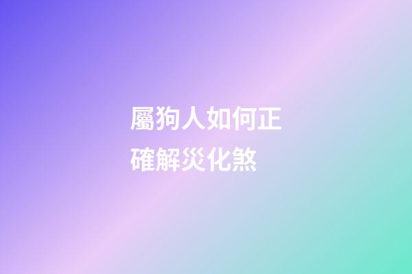屬狗人如何正確解災化煞