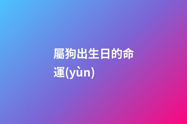 屬狗出生日的命運(yùn)（屬狗哪日出生最好命）-第1張-星座運(yùn)勢-玄機(jī)派