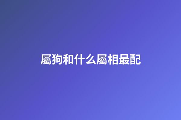 屬狗和什么屬相最配（屬狗最忌諱的兩個屬相）-第1張-星座運勢-玄機派