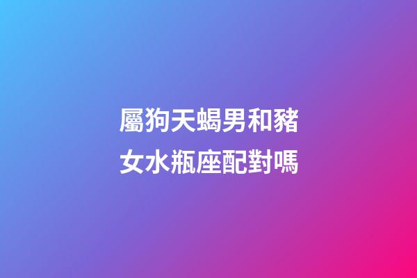 屬狗天蝎男和豬女水瓶座配對嗎-第1張-星座運勢-玄機派