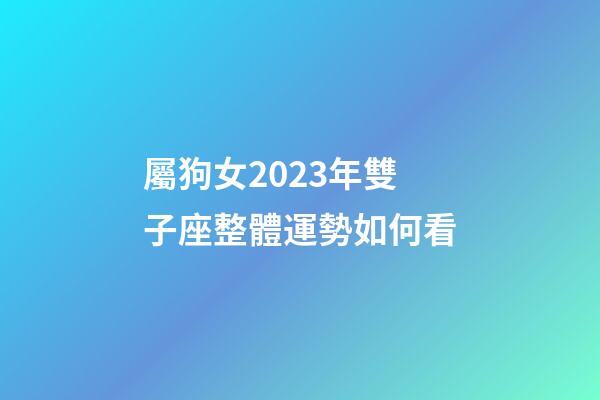 屬狗女2023年雙子座整體運勢如何看-第1張-星座運勢-玄機派