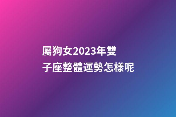 屬狗女2023年雙子座整體運勢怎樣呢