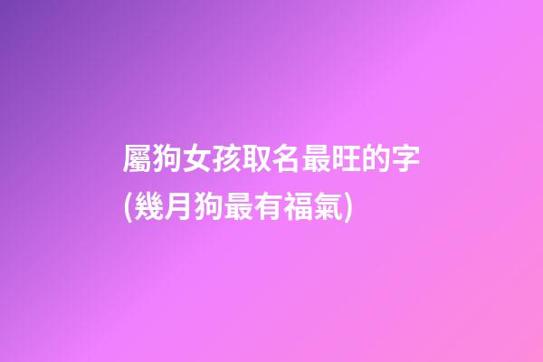 屬狗女孩取名最旺的字(幾月狗最有福氣)