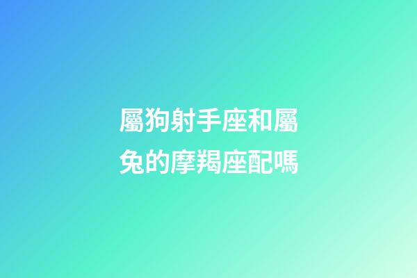 屬狗射手座和屬兔的摩羯座配嗎-第1張-星座運勢-玄機派