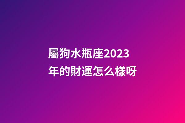 屬狗水瓶座2023年的財運怎么樣呀-第1張-星座運勢-玄機派