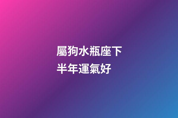 屬狗水瓶座下半年運氣好