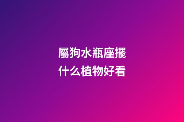 屬狗水瓶座擺什么植物好看
