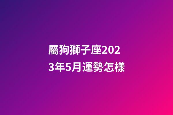 屬狗獅子座2023年5月運勢怎樣-第1張-星座運勢-玄機派