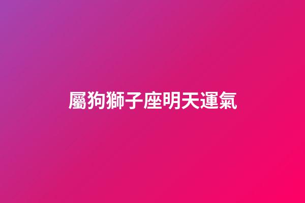 屬狗獅子座明天運氣-第1張-星座運勢-玄機派