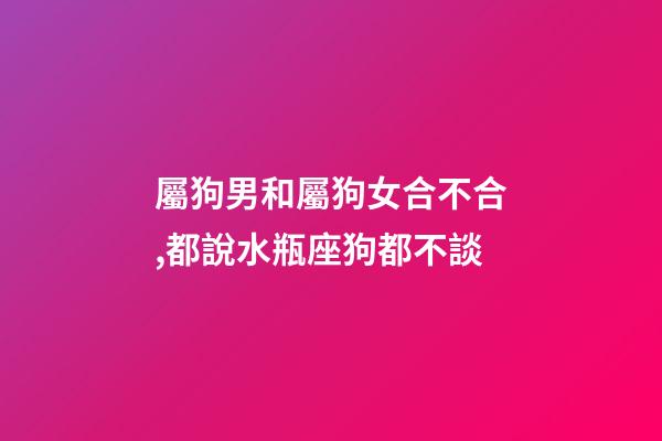 屬狗男和屬狗女合不合,都說水瓶座狗都不談-第1張-觀點-玄機派