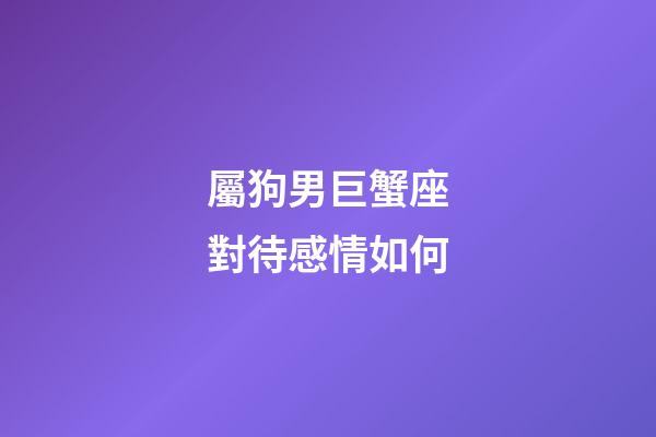屬狗男巨蟹座對待感情如何-第1張-星座運勢-玄機派