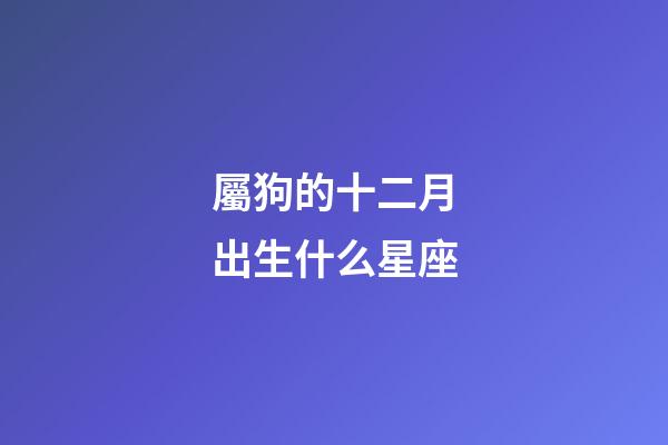 屬狗的十二月出生什么星座-第1張-星座運勢-玄機派