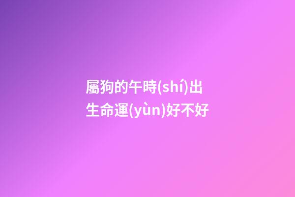 屬狗的午時(shí)出生命運(yùn)好不好