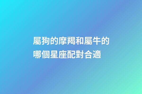 屬狗的摩羯和屬牛的哪個星座配對合適-第1張-星座運勢-玄機派
