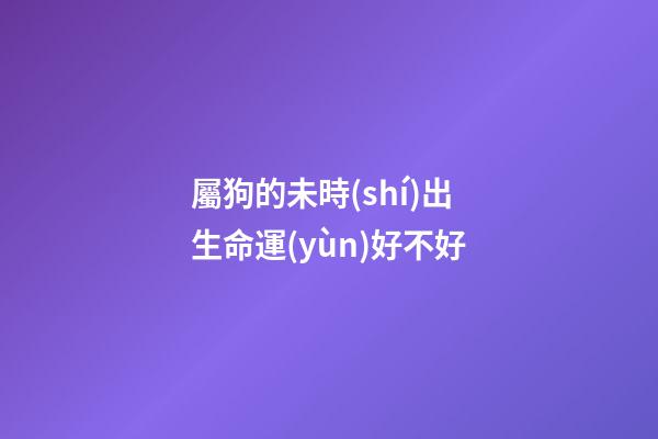 屬狗的未時(shí)出生命運(yùn)好不好