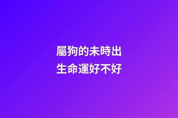 屬狗的未時出生命運好不好