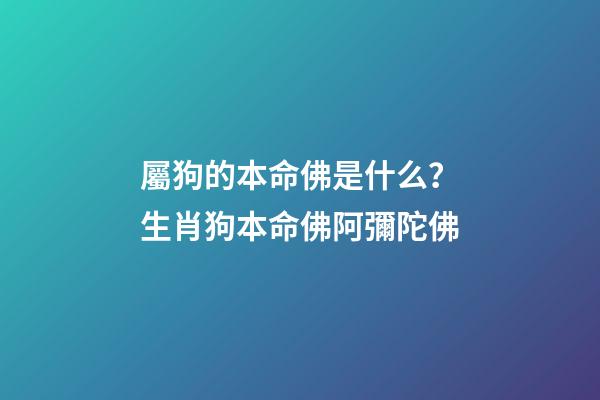 屬狗的本命佛是什么？生肖狗本命佛阿彌陀佛
