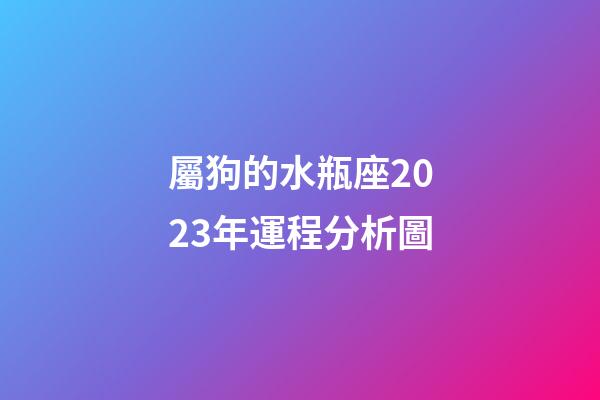 屬狗的水瓶座2023年運程分析圖-第1張-星座運勢-玄機派